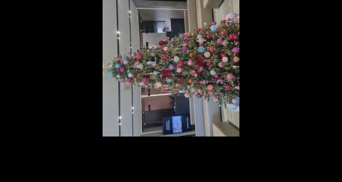 스마일 프로 추천드려요 