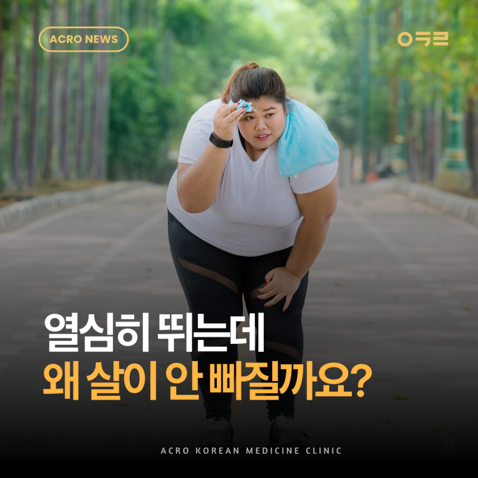 열심히 뛰어도 살이 안 빠지는 진짜 이유 — 운동 보상 심리의 과학