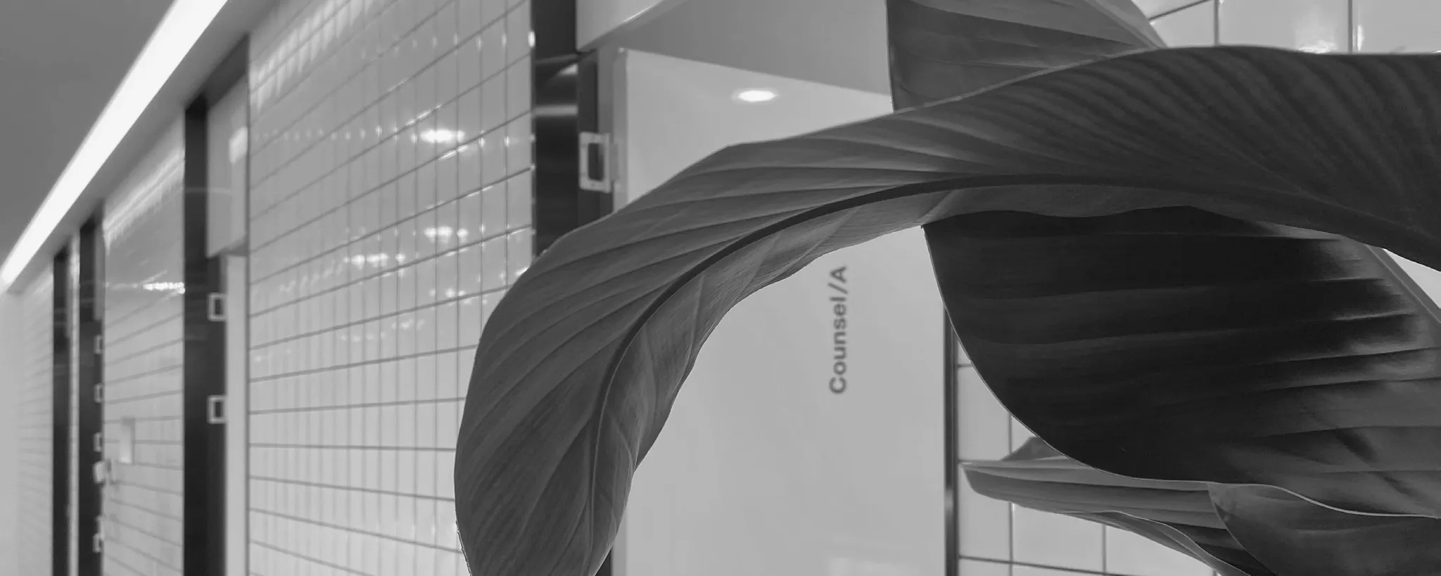 4월31일성형외과