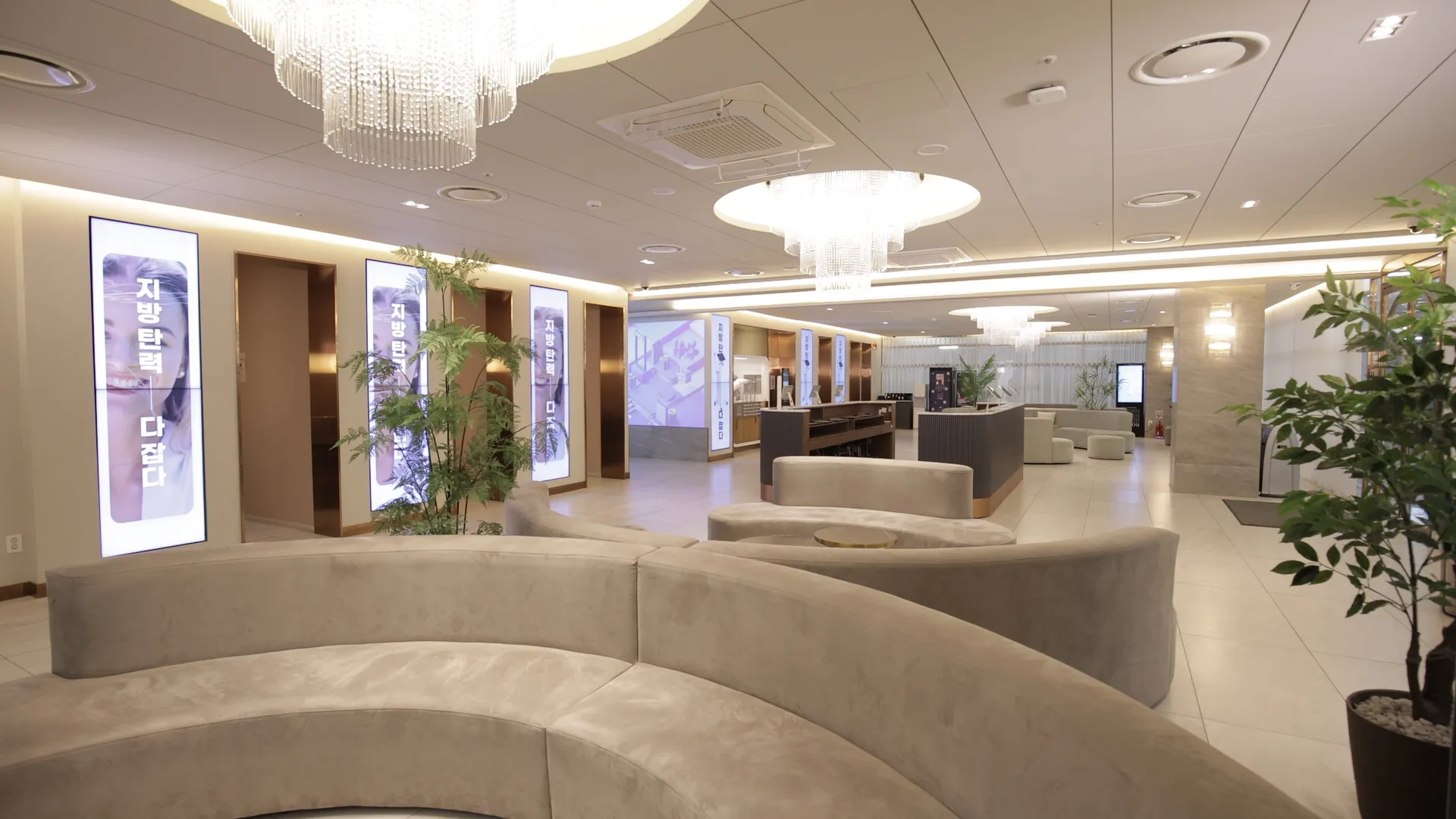 아비쥬의원 일산점