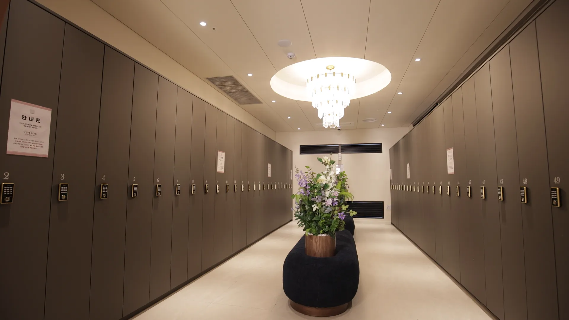 아비쥬의원 일산점