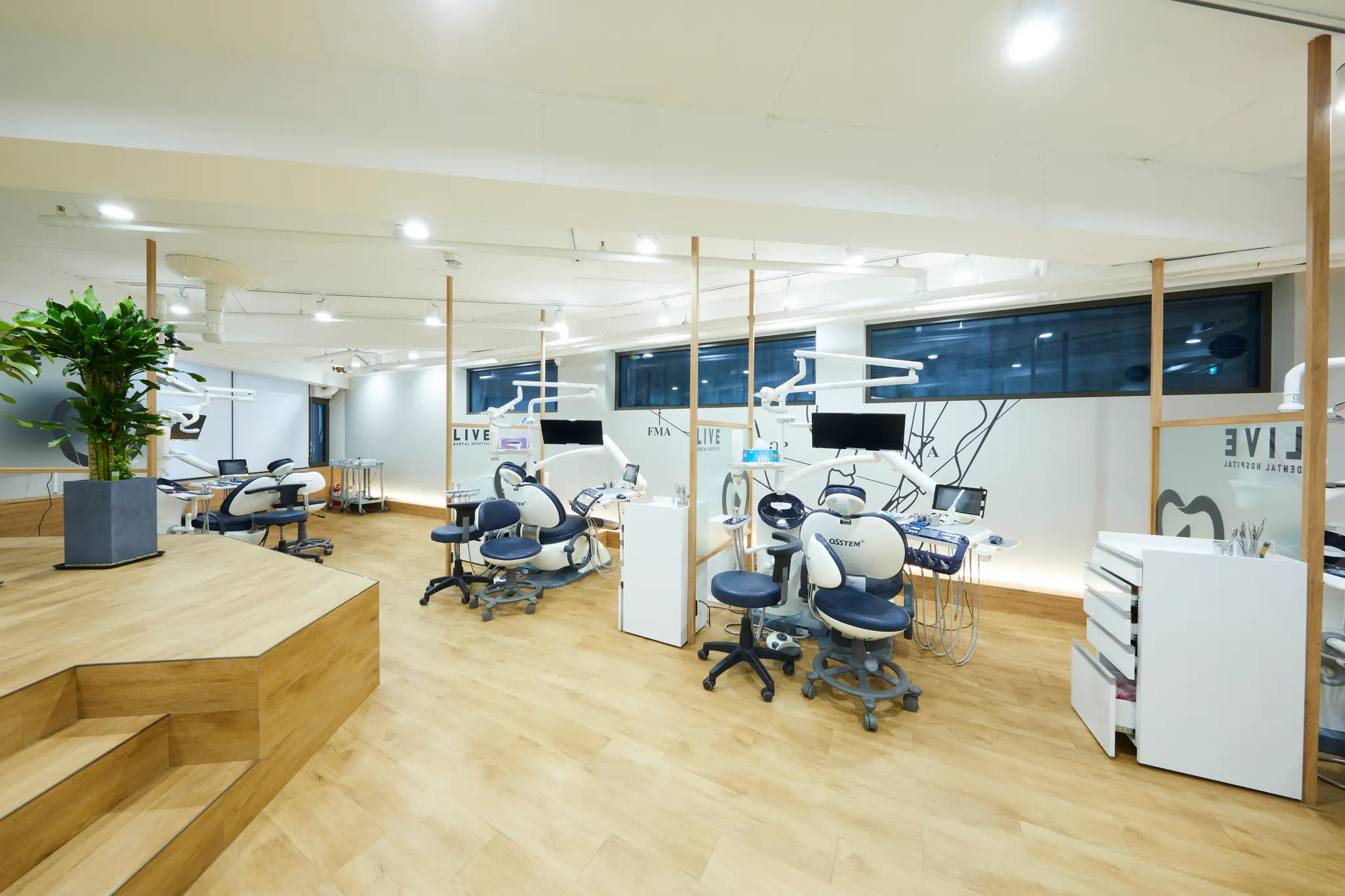 라이브치과병원