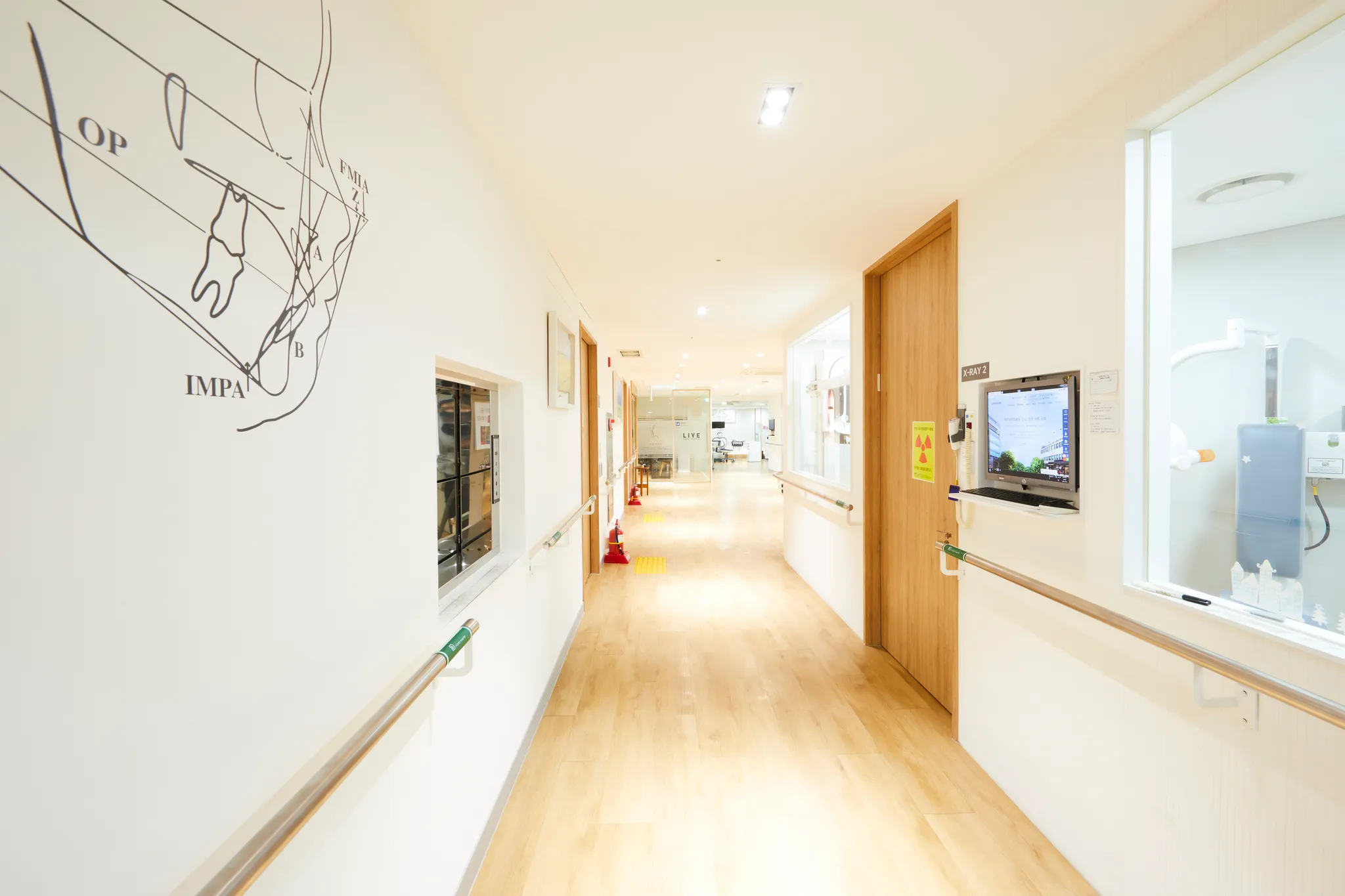 라이브치과병원